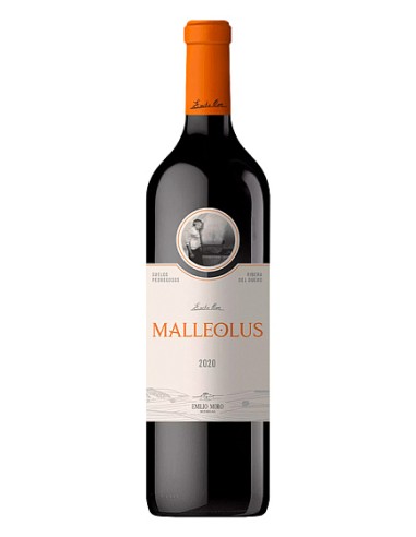Malleolus 2021