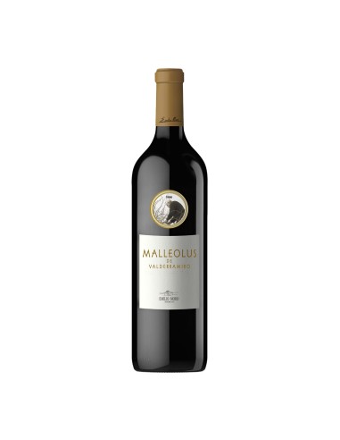 Malleolus de Sanchomartín 2015