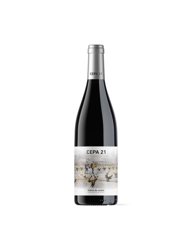 Cepa21 2021